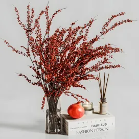 Decorative 167